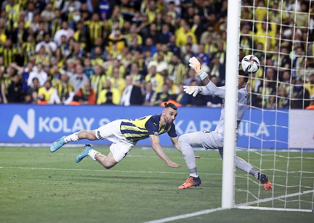 这种变化不 这种变化不