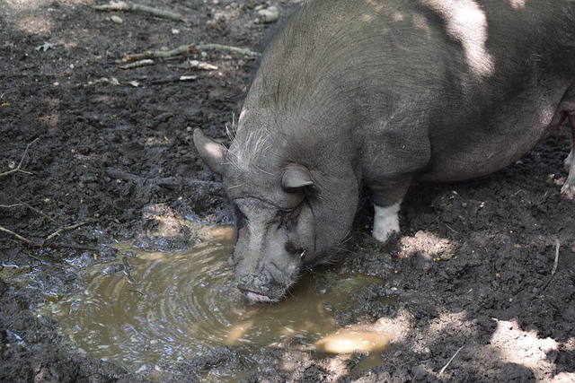 现吸引众多 现吸引众多