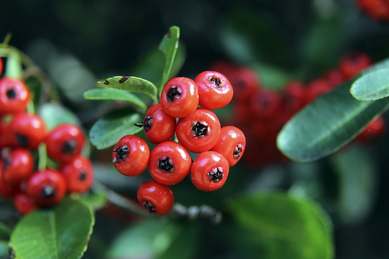 提供了思考 提供了思考