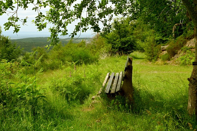 倍感压力 倍感压力