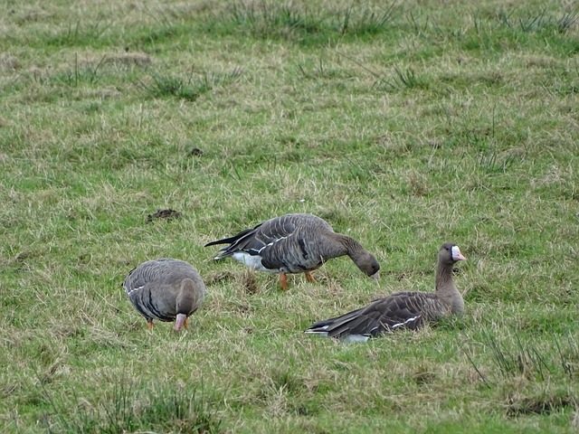 不冤！国足输泰国，基赛上座率急降.